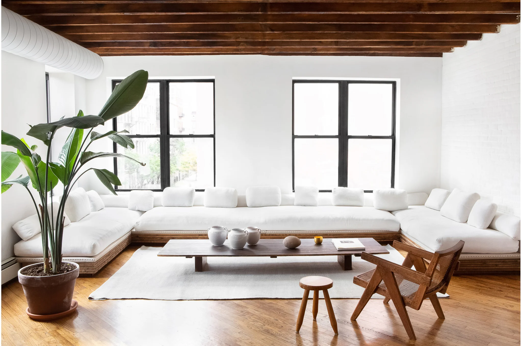 Sarah Elliott Photography Daphne Javitch.jpg