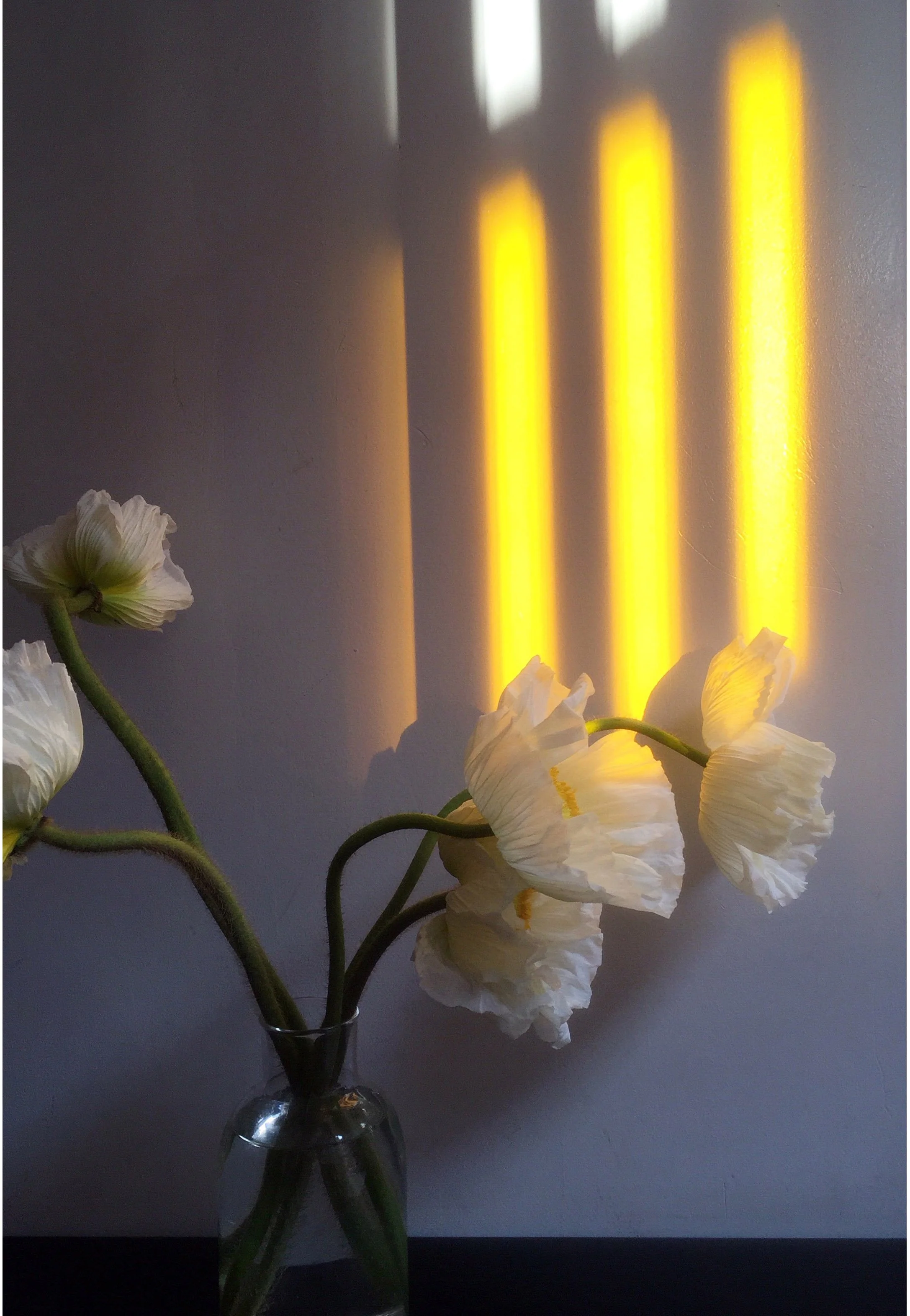 Sarah Elliott Photography 113.jpg