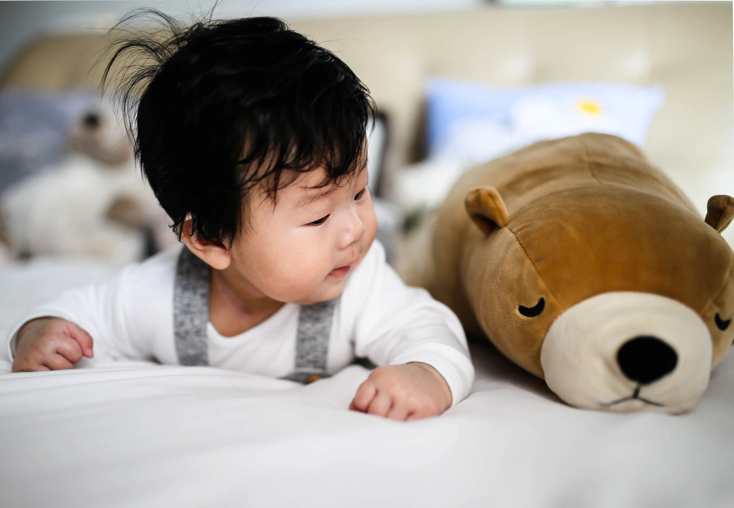 Image Courtesy Unsplash