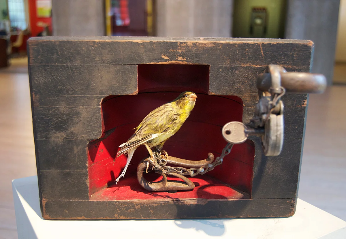009 – After Fabritius, 2013 Mixed media 8 x 11 x 4.25 inches