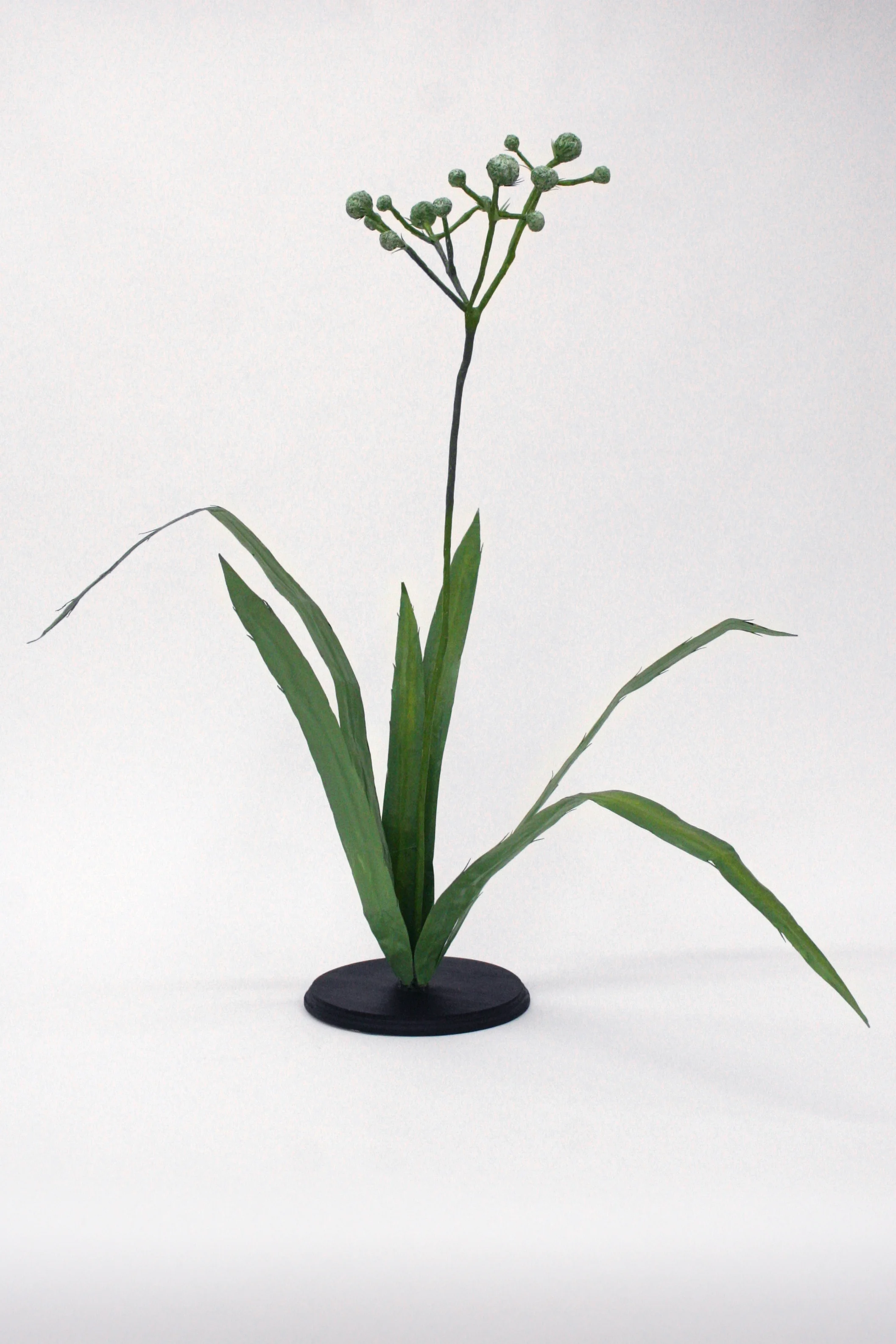 Rattlesnake Master (Eryngium yucciflium) plant, 2016 Papier mache, acrylic paint, wood