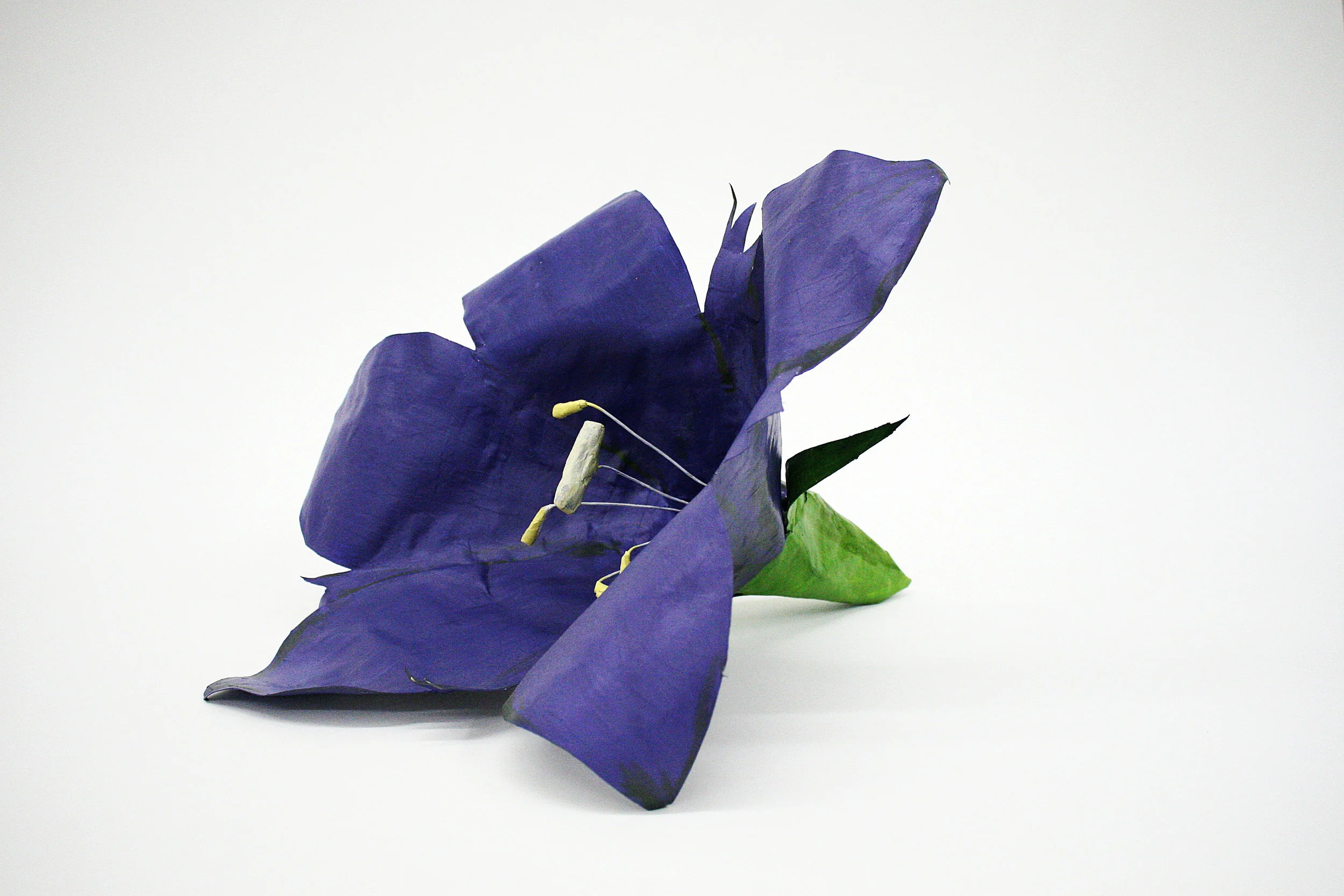 Prairie Gentian (Gentiana puberulenta) blossom, 2016 Papier mache, acrylic paint, wood