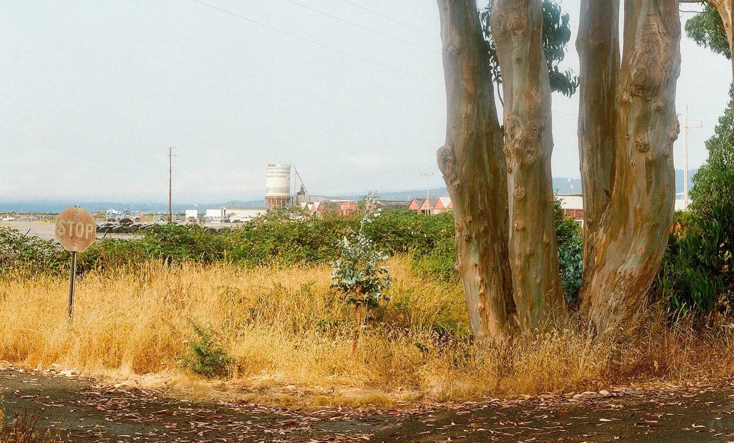 18600012.jpg