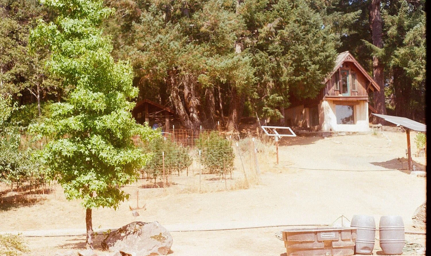 18600032.jpg