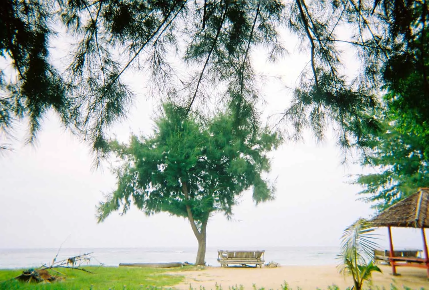 download185.jpg