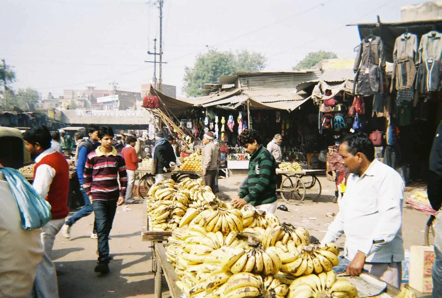 download356.jpg