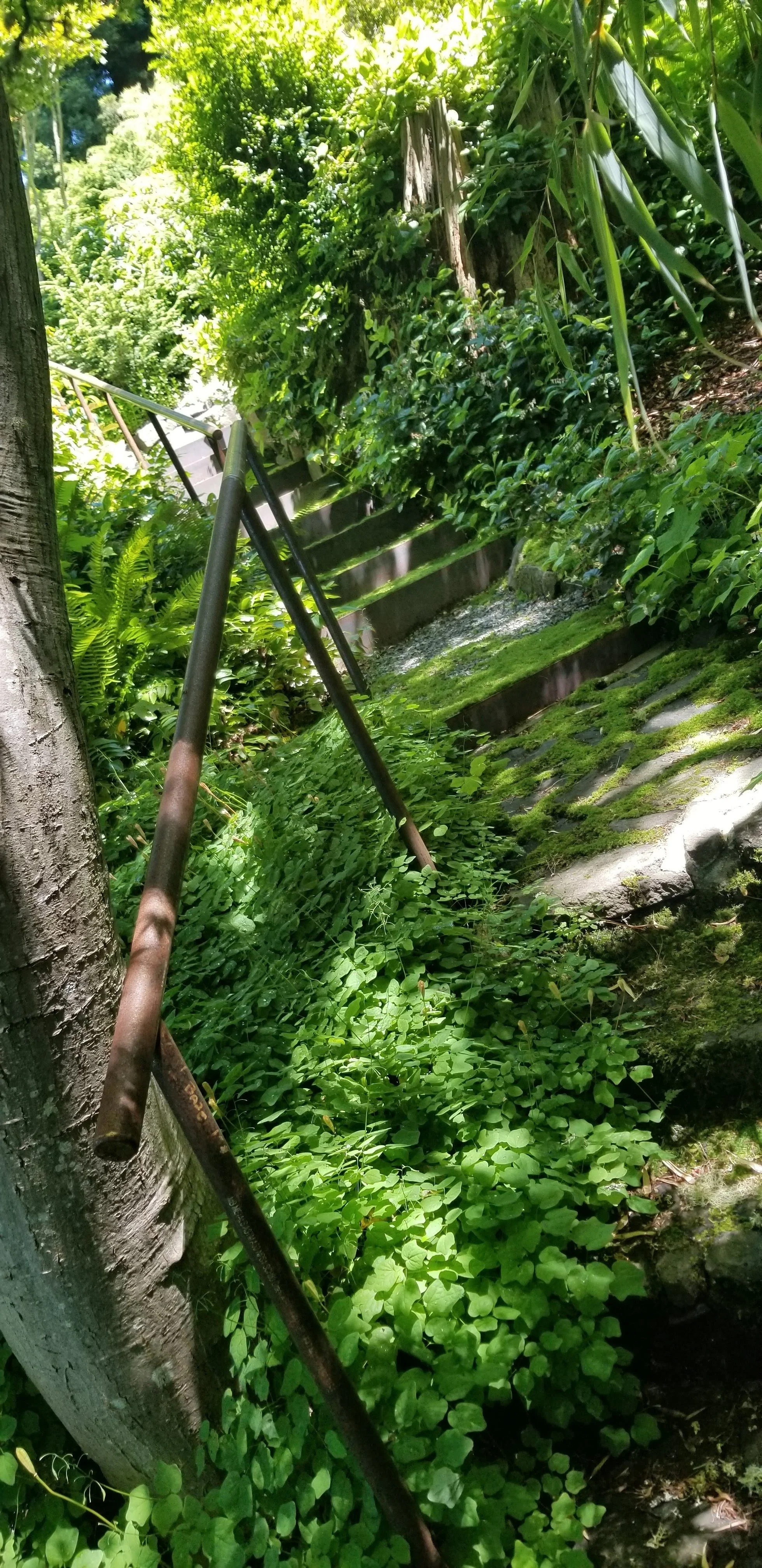 20210621_130730.jpg