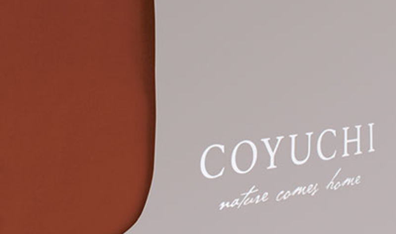 Coyuchi.jpg