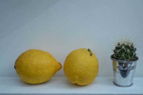 DSC_0272.jpg
