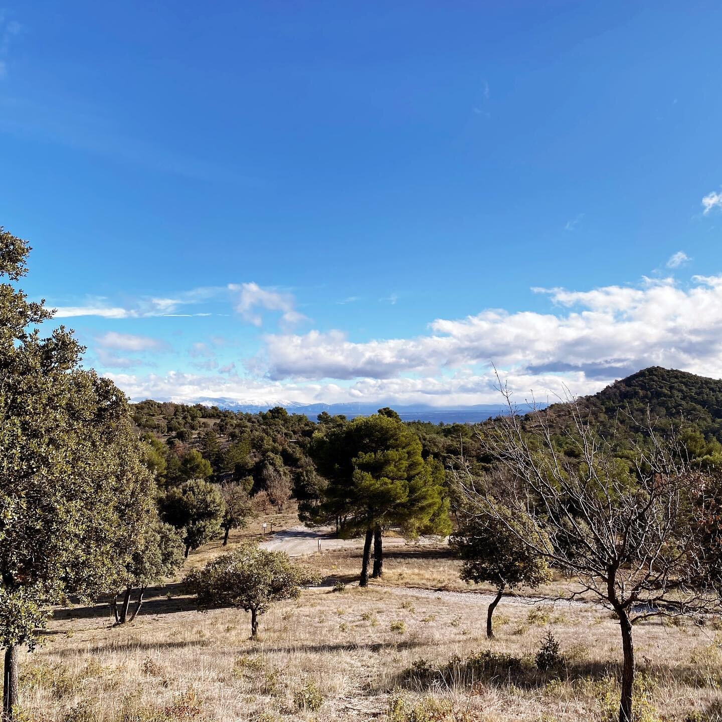 |2021, you look smashing|

#sunshinebluesky #provence #nature #welikewalking #hiking #everydayadventures #welcome2021 #hope #manosque #bellevue #audessusdesnuages #sommetsenneig&eacute;s #alpes #alpesdehauteprovence