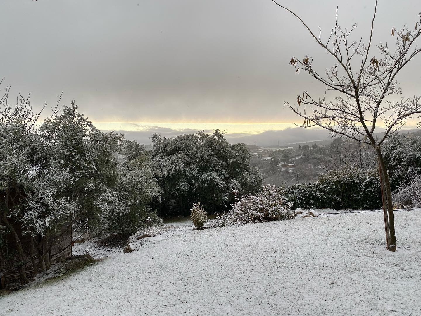 |2021, you look even more smashing (and unpredictable 😮)|

#provence #souslaneige #cosy #letitsnow #manosque #winter #nature #2021 #cestvraimentsuperbeauquandmeme