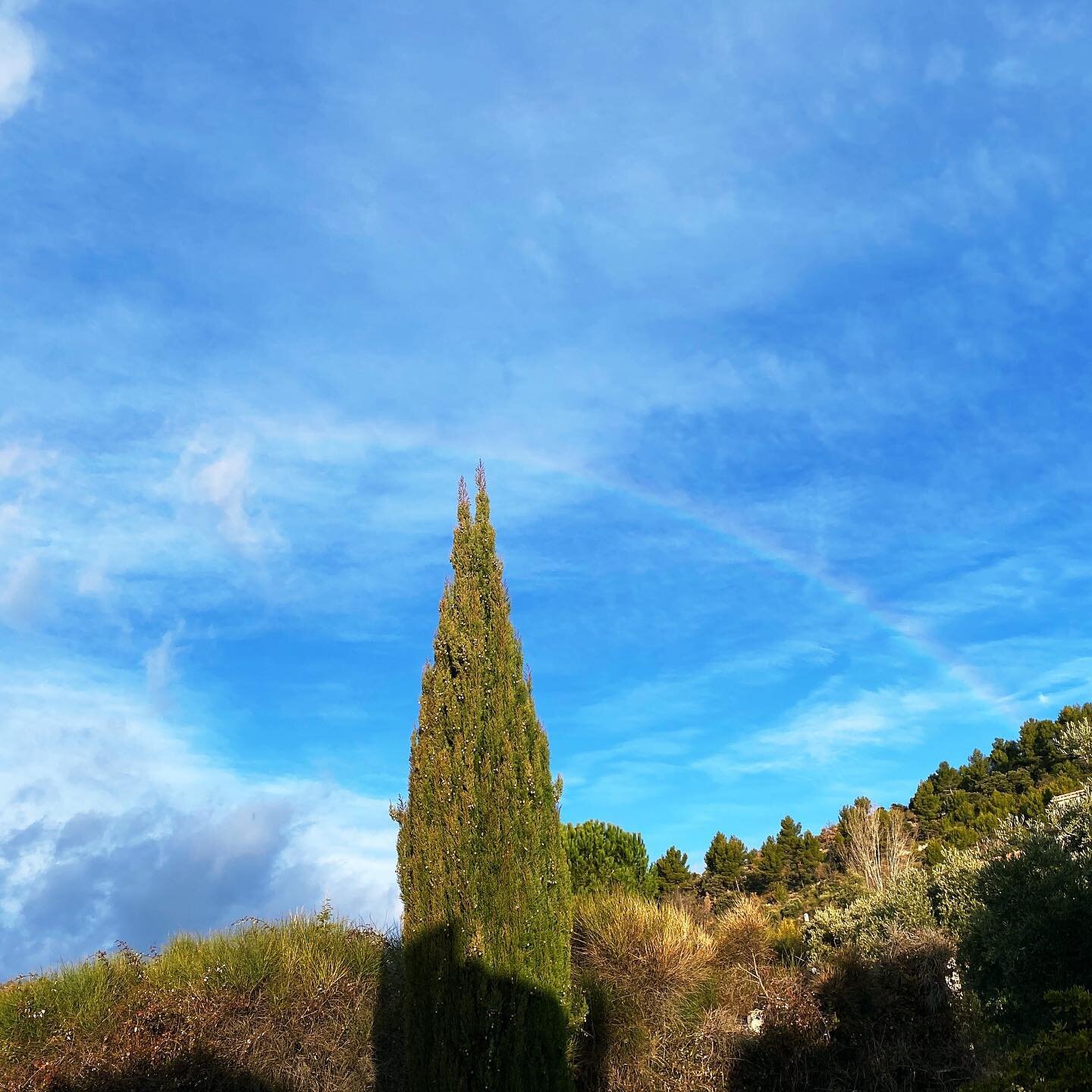 |A good start to the day/weekend|

#sunshinebluesky #provencemonamour #rainbow #rainybow #weekend #nature #lovegreen #naturopathy #soakupthewild #rightinmydoorstep #luckyme