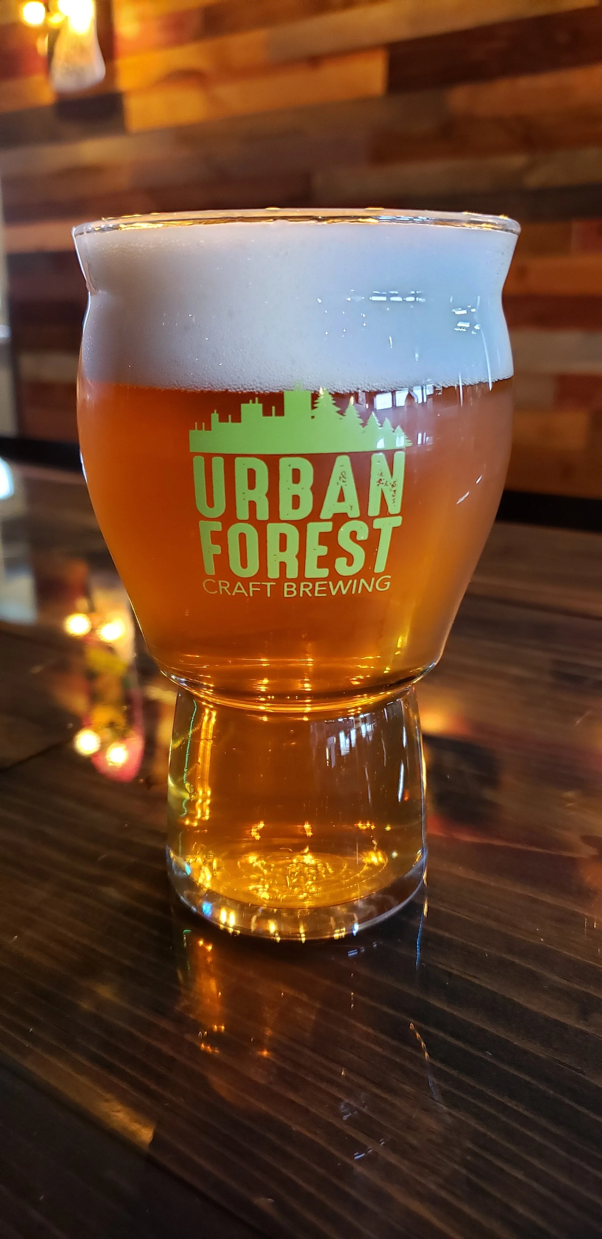 Urban Forest Rastal Craft Master Grand 16oz Glass