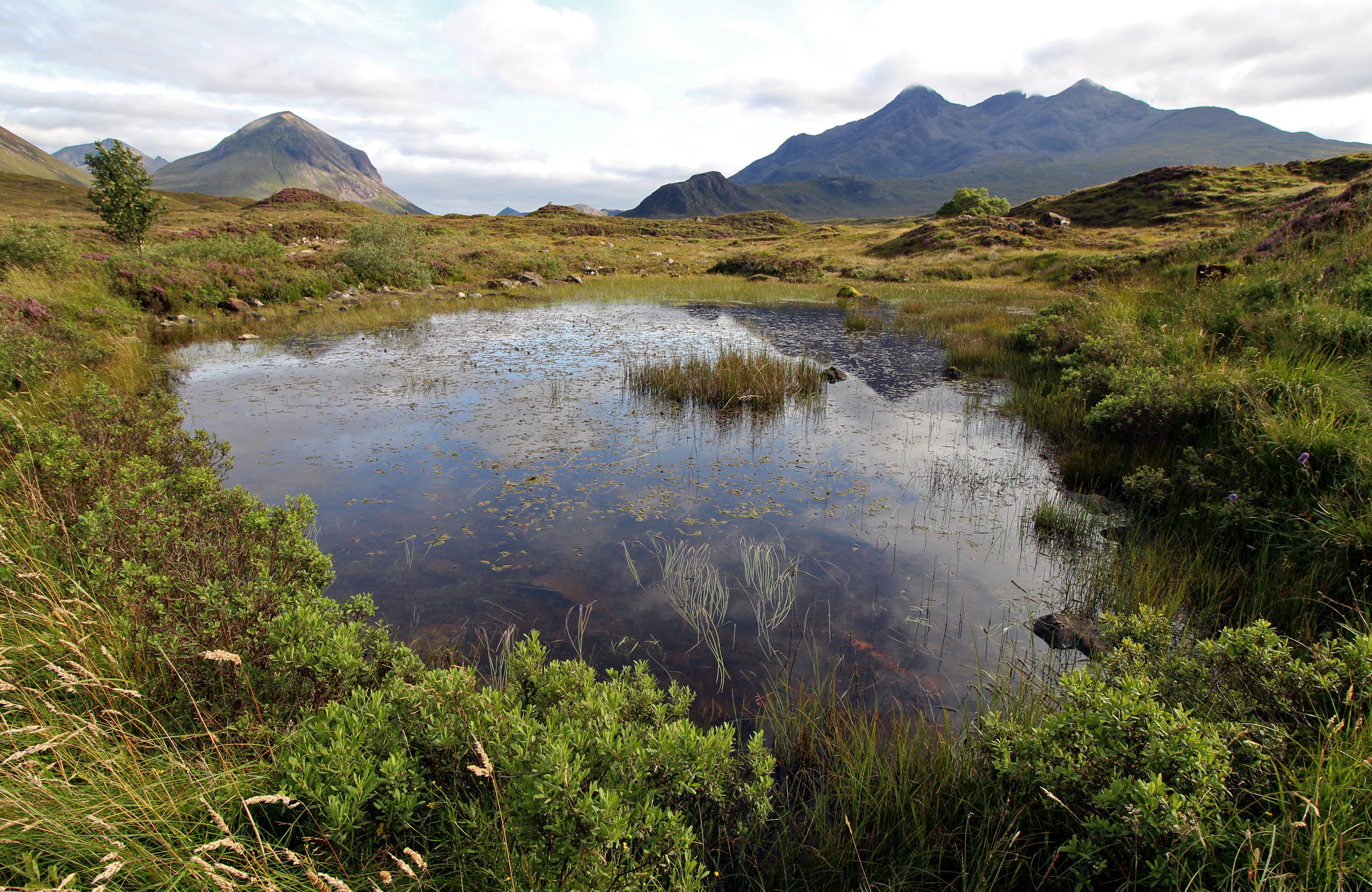 LandscapeCuillins.jpg