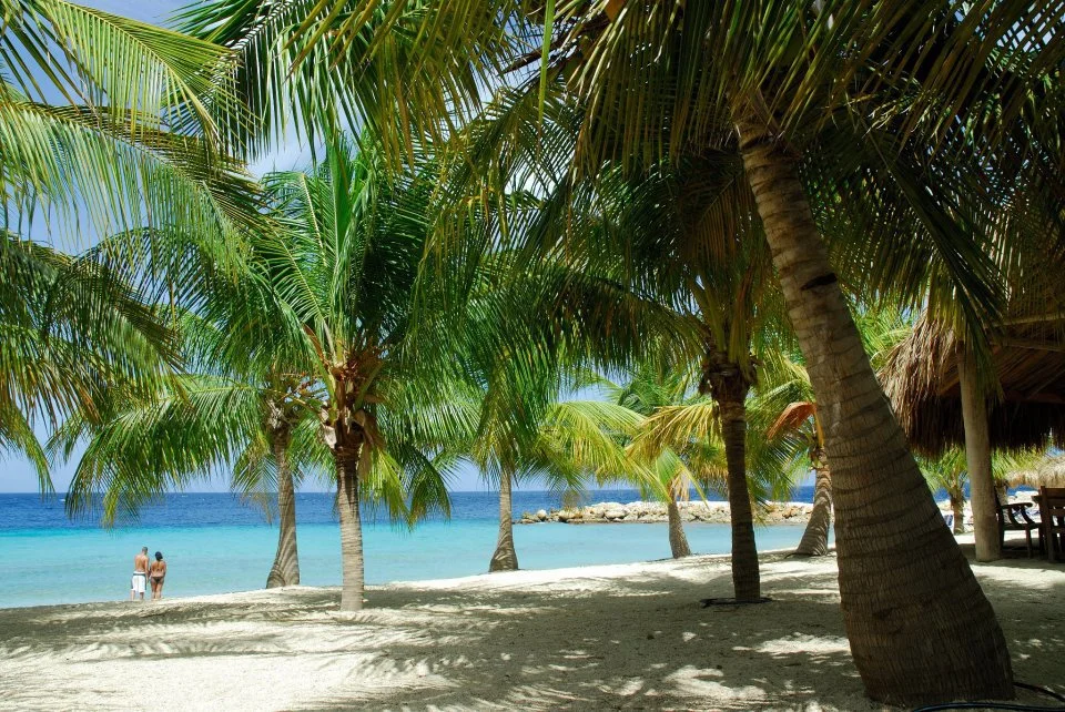 Beach.jpg