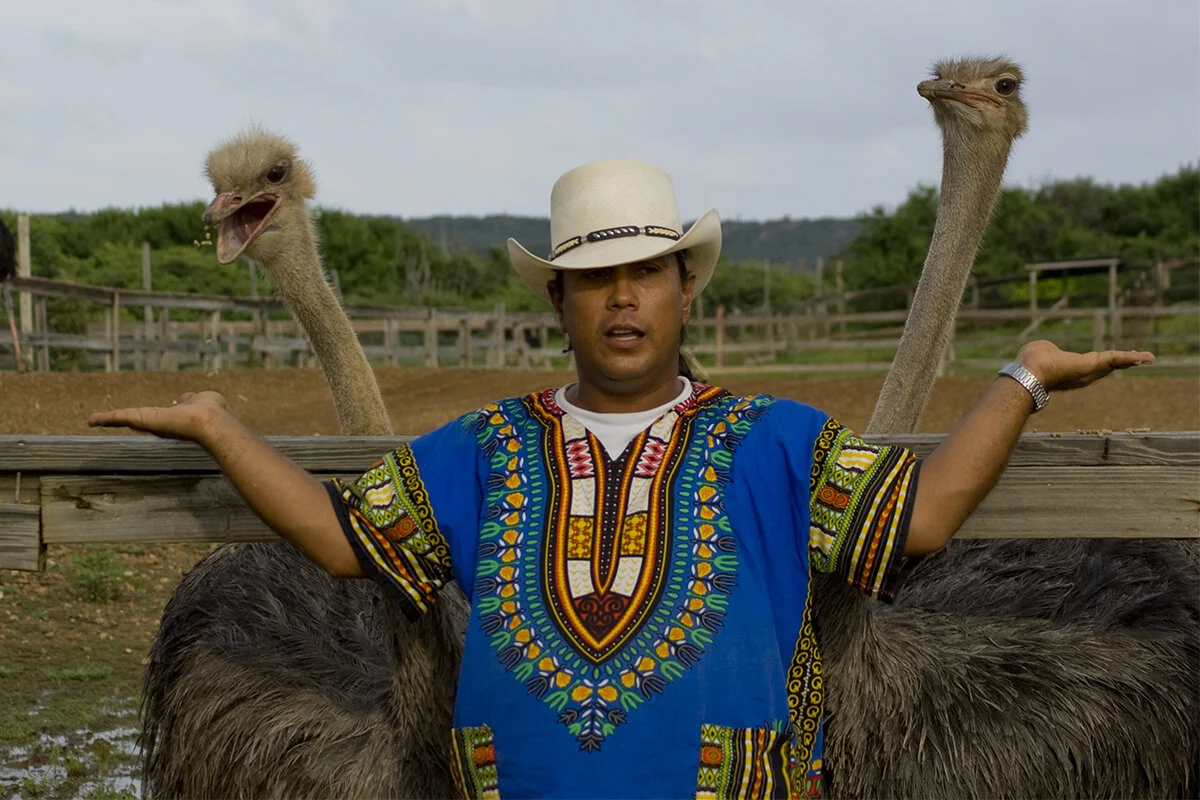 OstrichFarm.jpg