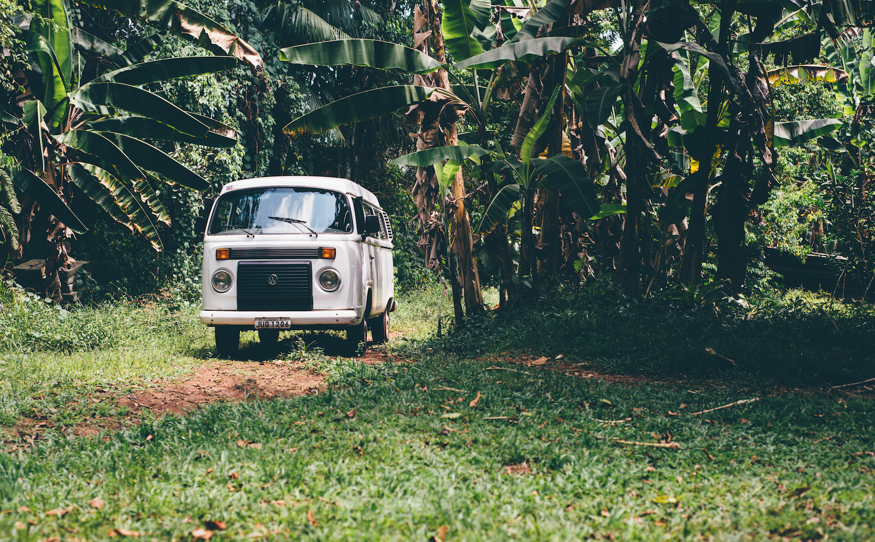 The VW wagons are a popular car in Brazil. Just last year (2014) the company stopped making the vans. 