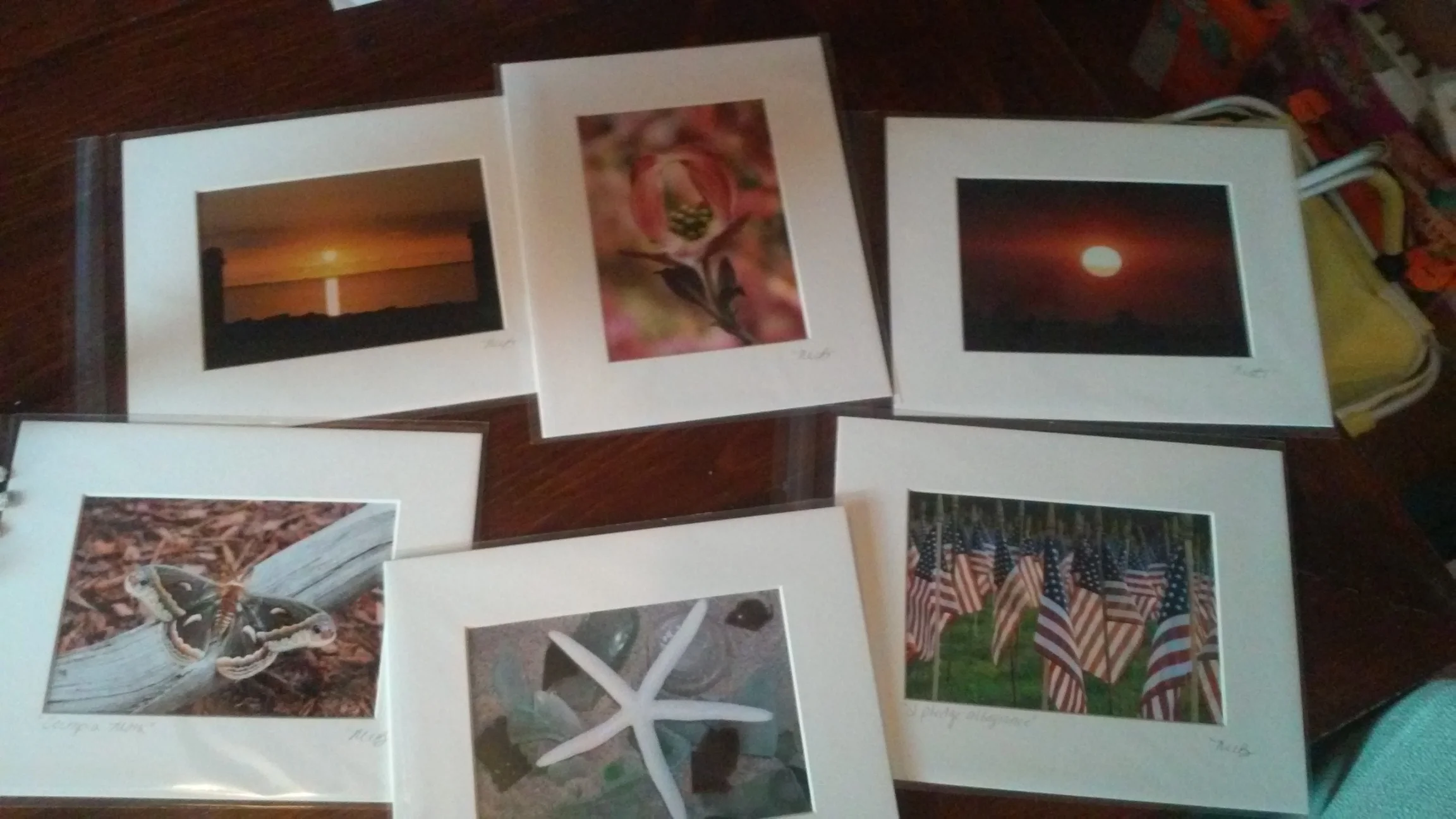 Handmade photo cards by Nature's Photoshoot