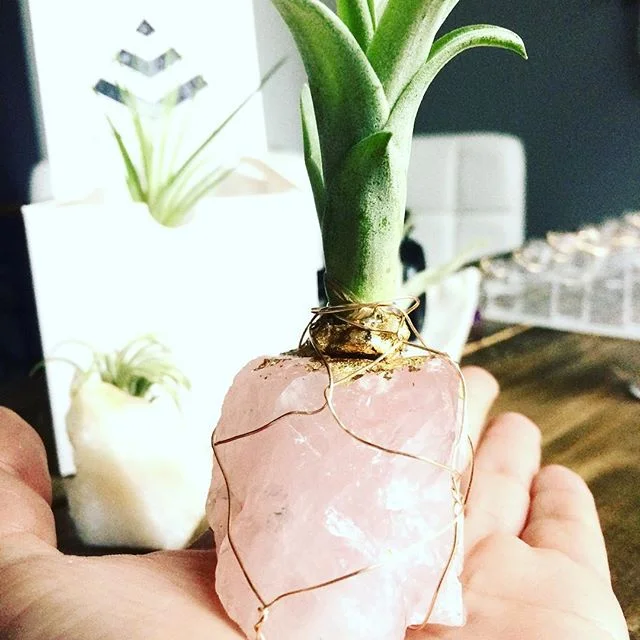 modern hippi - jewelry & plants sunday