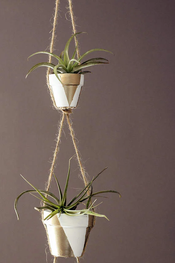 plant your knits - knits & plant displays sunday