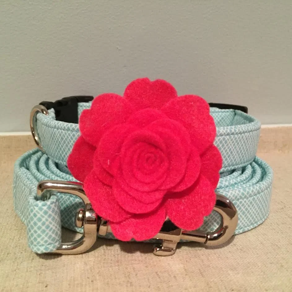 spoiled paws bowtique - pet collars & leases saturday