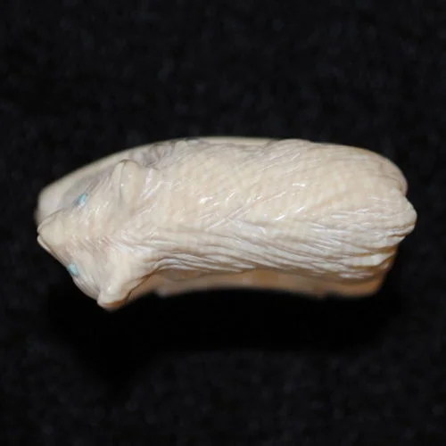 d.kamasee.4.jpg