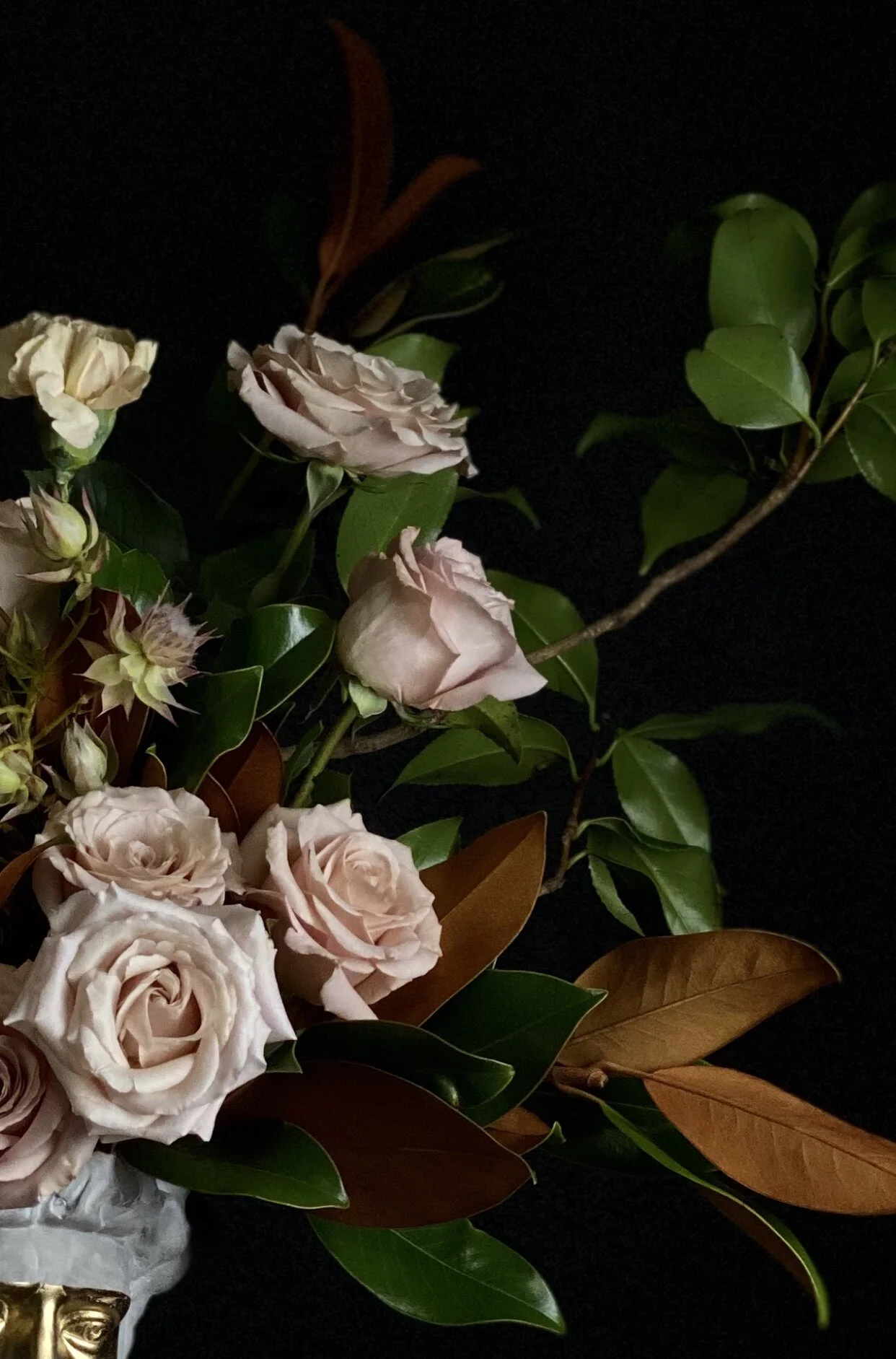 D461AAB2-432F-452F-AE22-AC805CD5E468