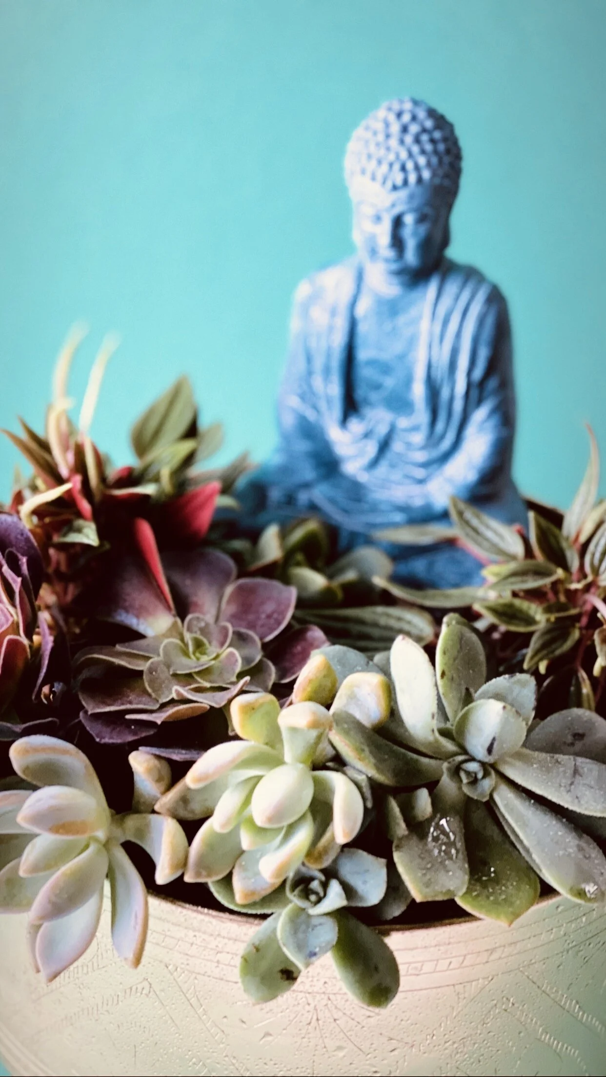 D1AAB17D-9187-40D3-8F89-A15DB92201D2