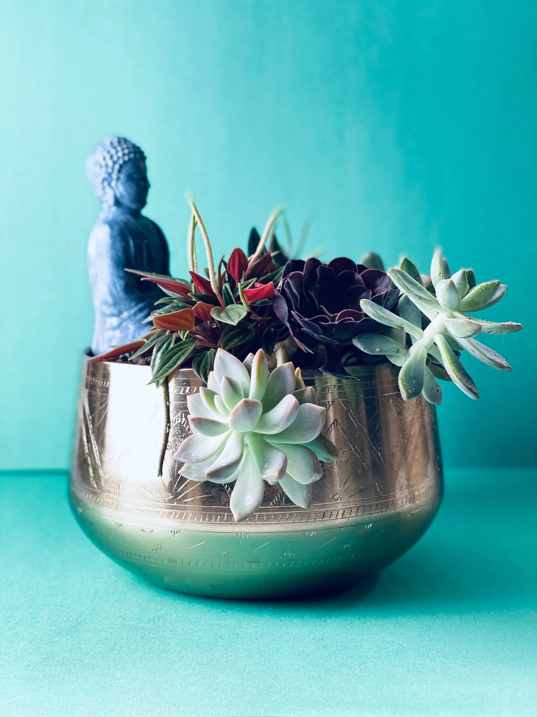 42DFCE87-262A-476D-AC7E-9E0D49697D1D