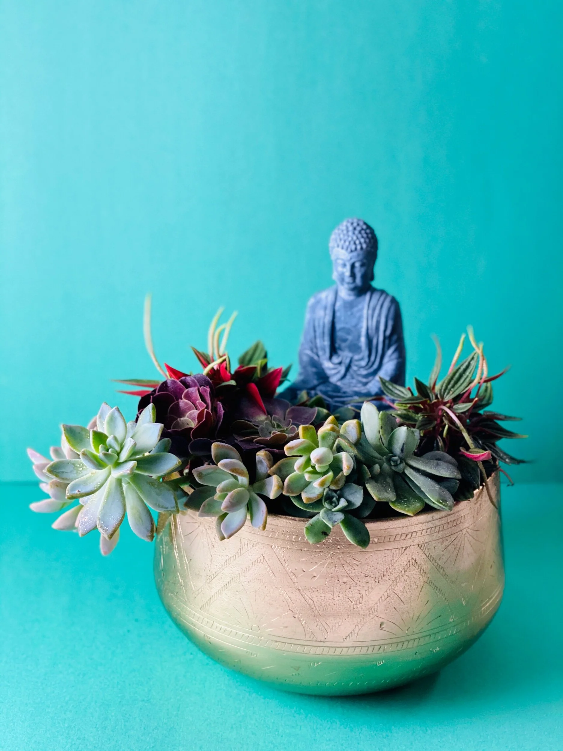 5996BDA3-989F-4B6C-9BD8-75765A9B023E