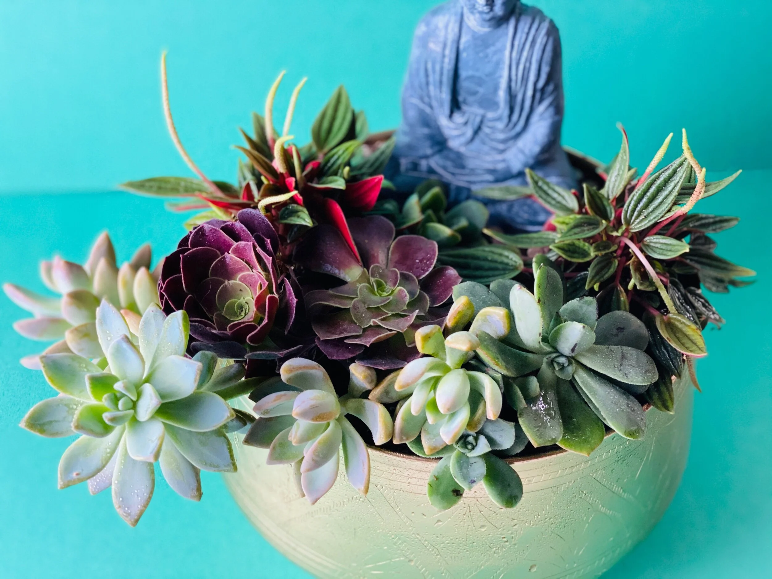 0C532286-D439-4A11-B164-9590C8FC1409