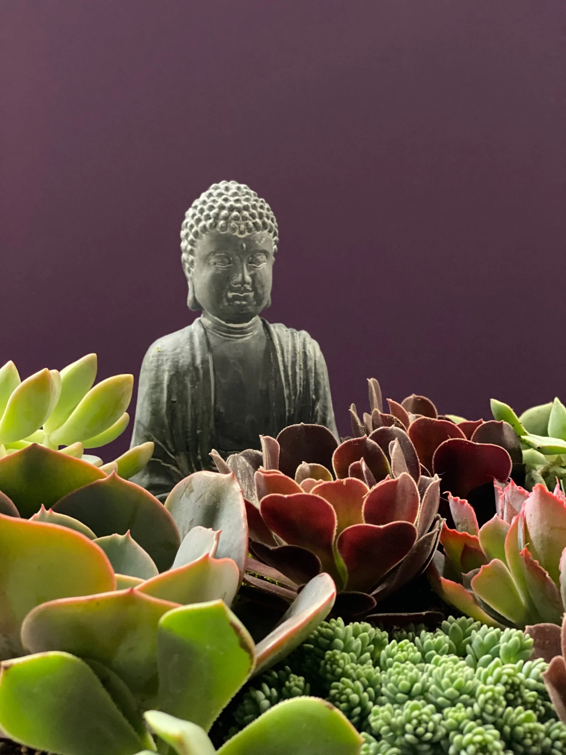 85181680-7236-40D2-B971-2E0BF503FA6F