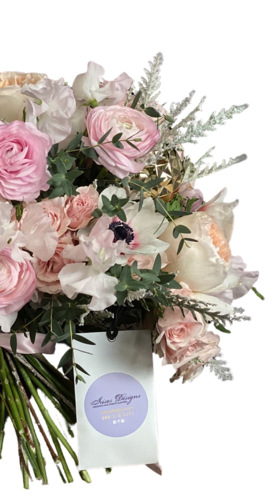 A5455F62-2ED9-4F1F-8EEC-A28A548A3435