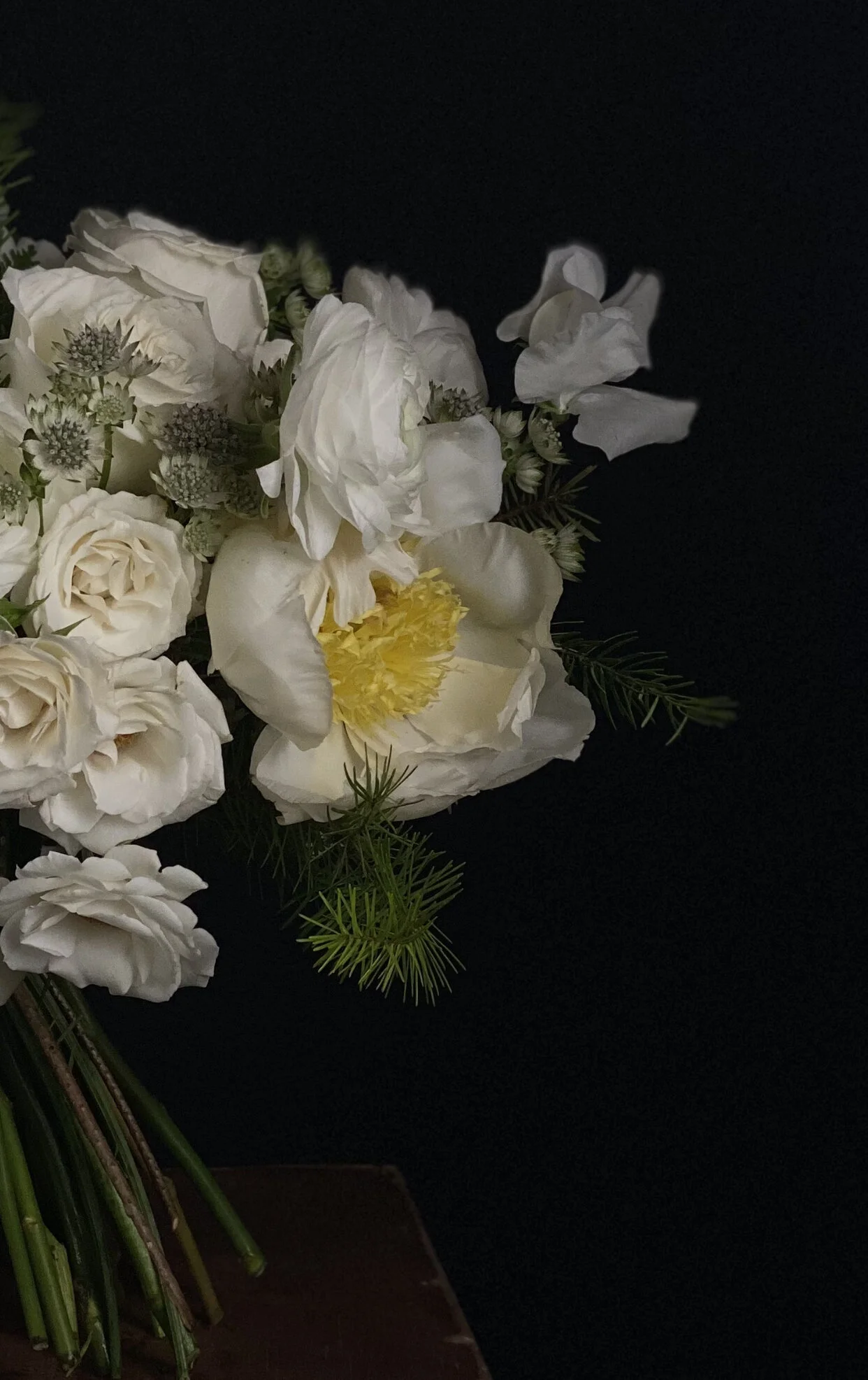 3A9B0A71-96DE-4E4D-A23B-1AF811690362