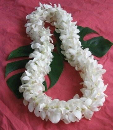 graduation-or-wedding-lei-double-white-orchid-lei-prices-reflect-size.365.jpeg