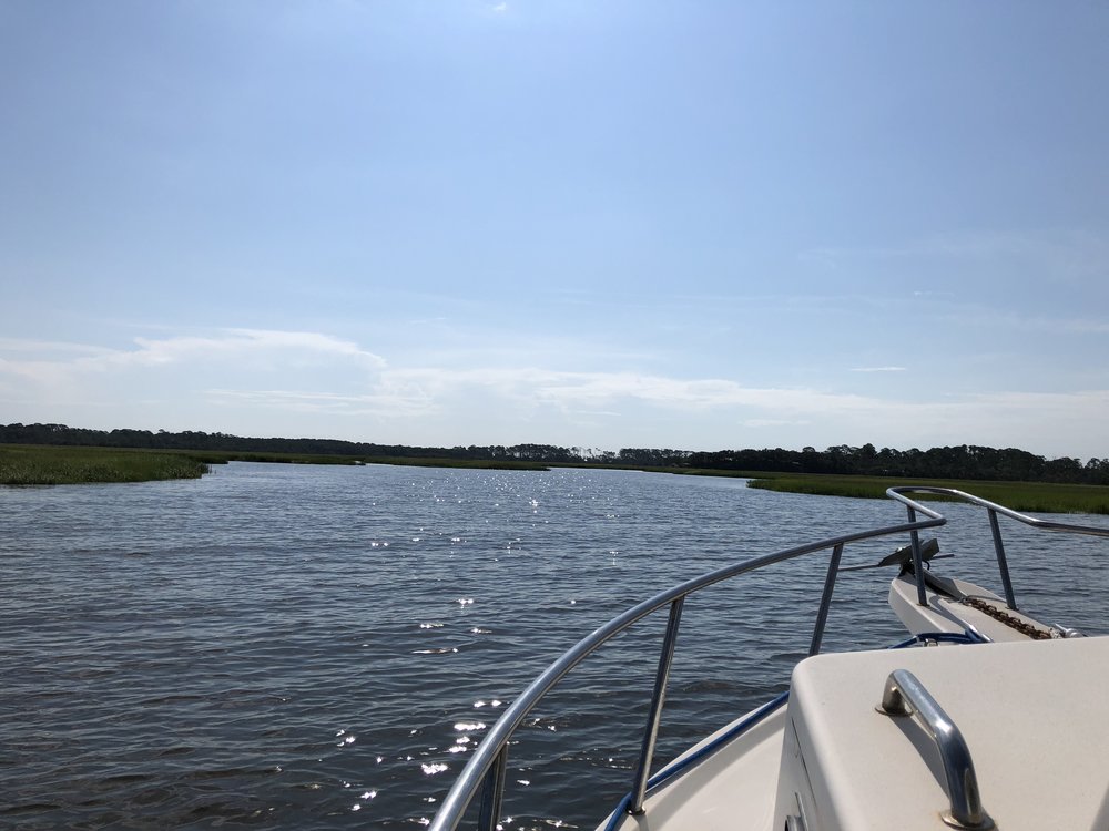 The view from the boat to Little Cumberland Island, reporting on the spaceport