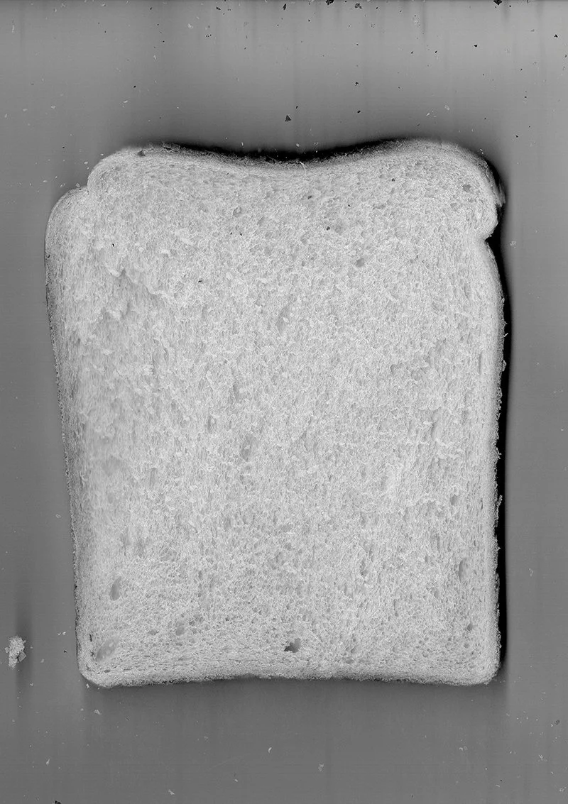 15. 20260603_173617_0015 copy.jpg