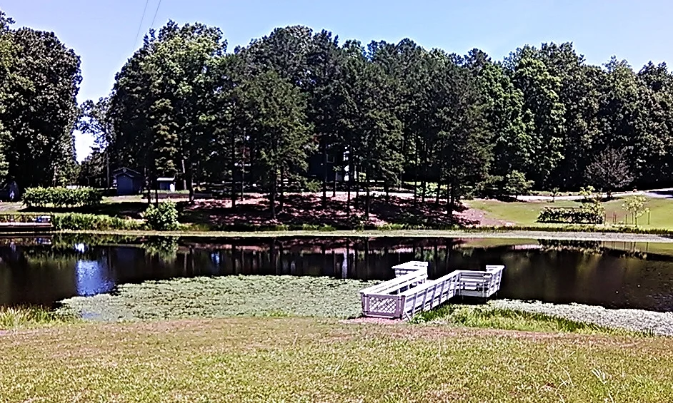 pier: rest, fish or dock