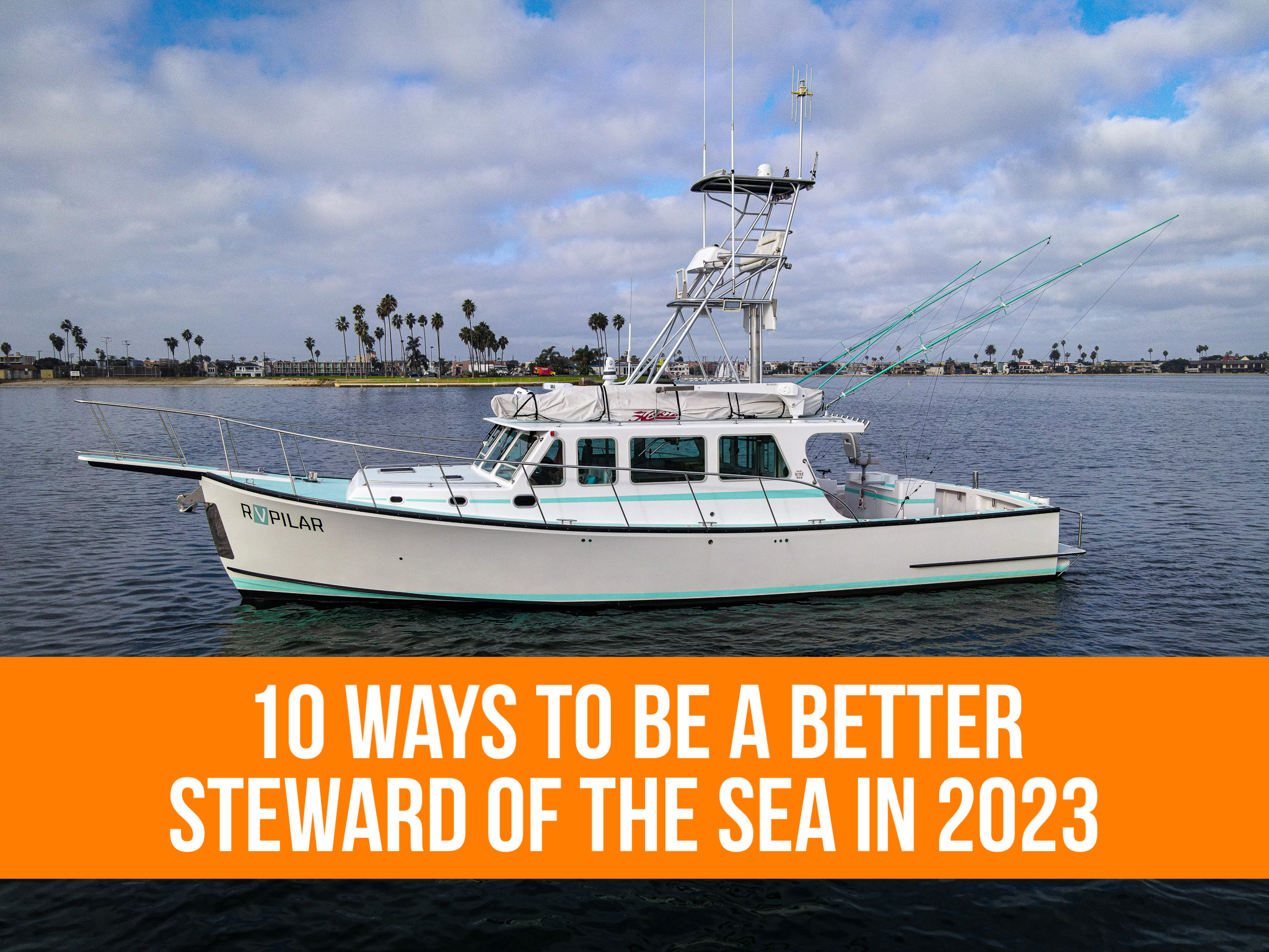 10 ways to be a better steward of the sea in 2023
