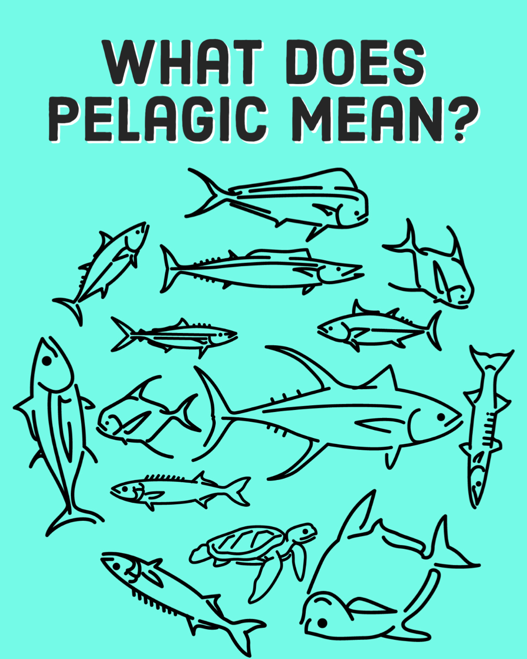 What does Pelagic Mean?
