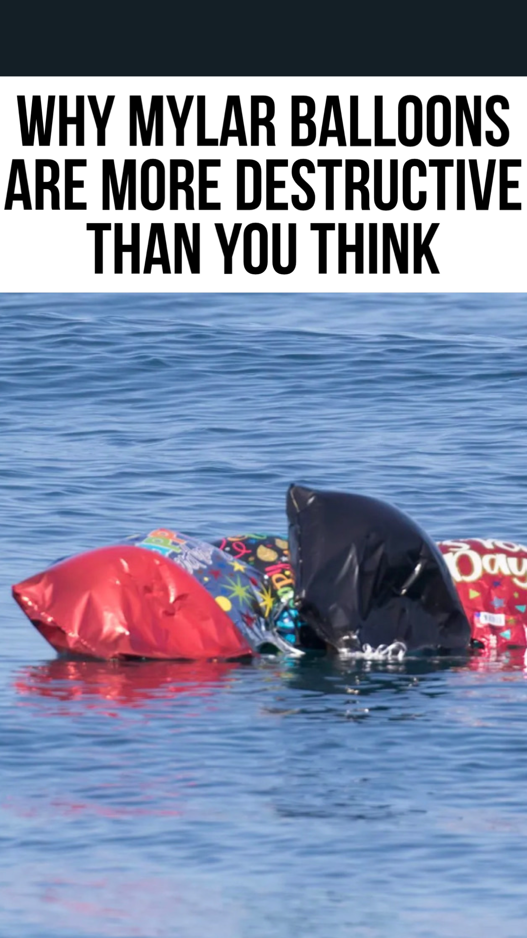 Why Mylar Balloons are more destructive than you think