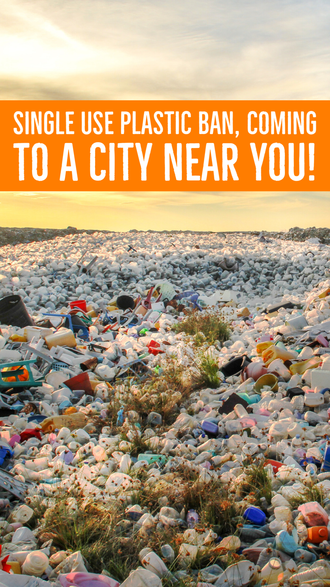 Single use plastic ban, coming to a city near you!&nbsp;