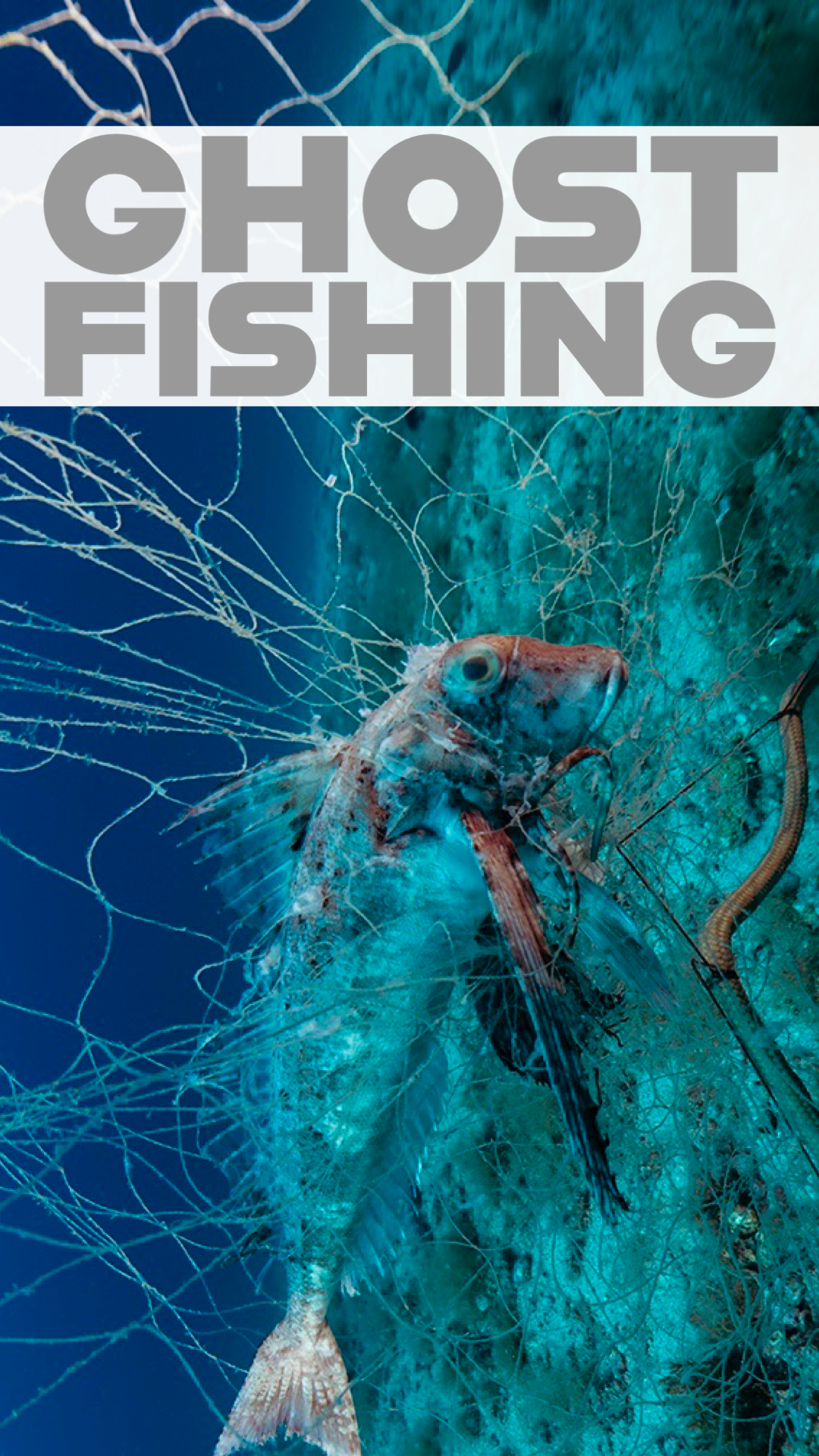 Ghost Fishing, It's really as bad as it sounds