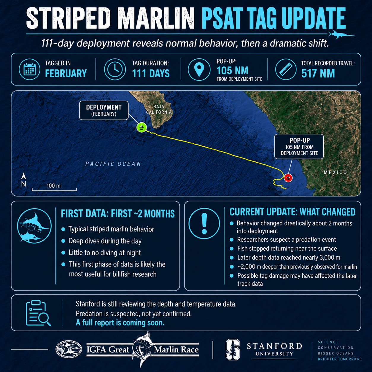 R/V Pilar’s First PSAT TAG in Great Marlin Race: 111 Days of Data