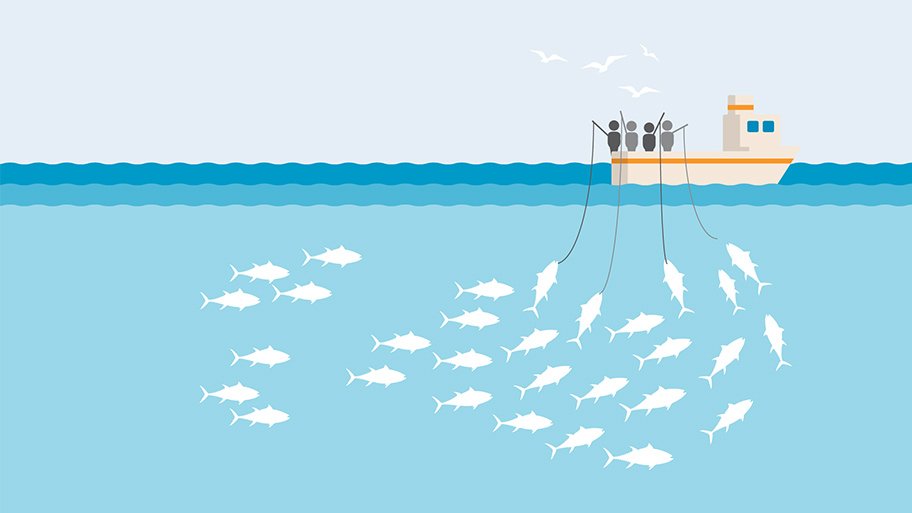 What is Sustainable Fishing & why is it so important — R/V PILAR