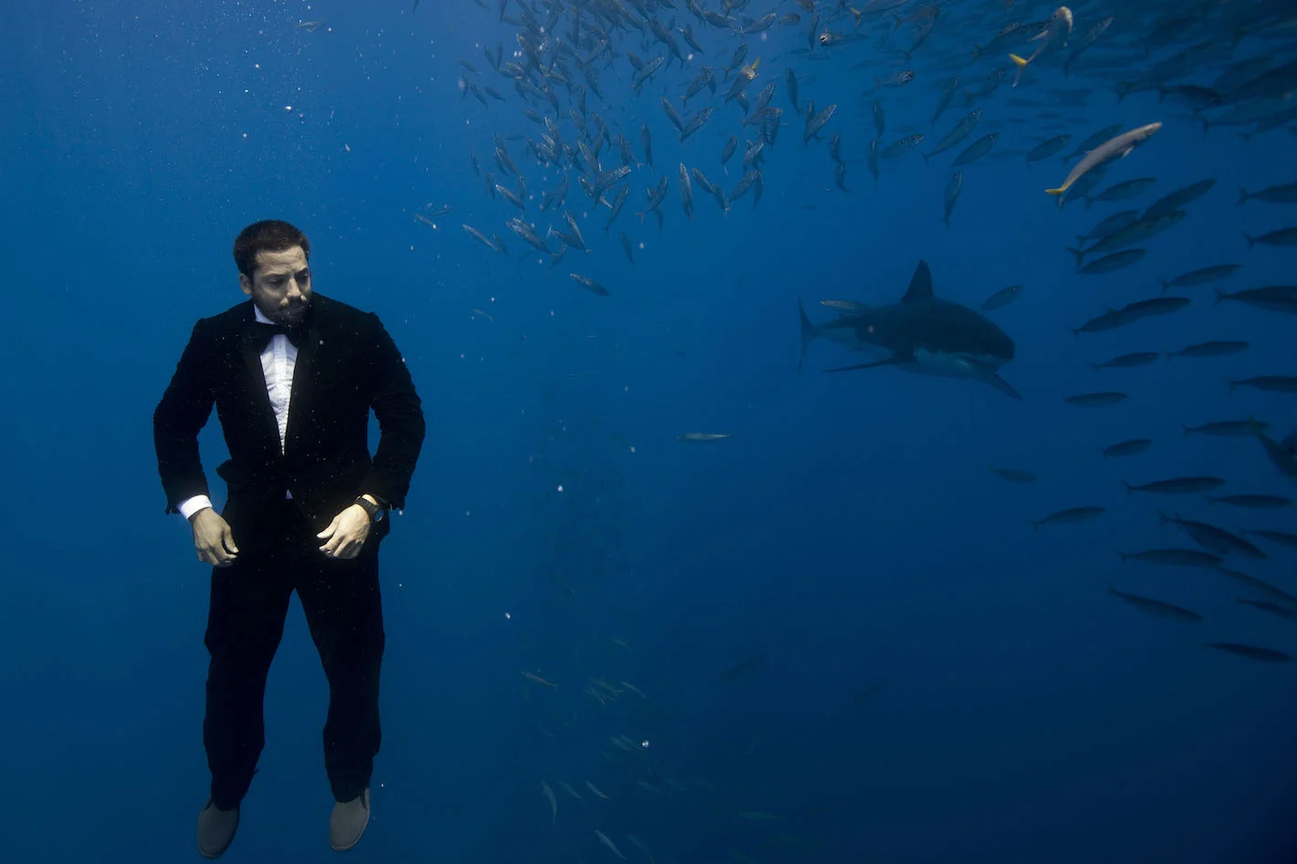 DRESSED FOR DINNER — David Blaine
