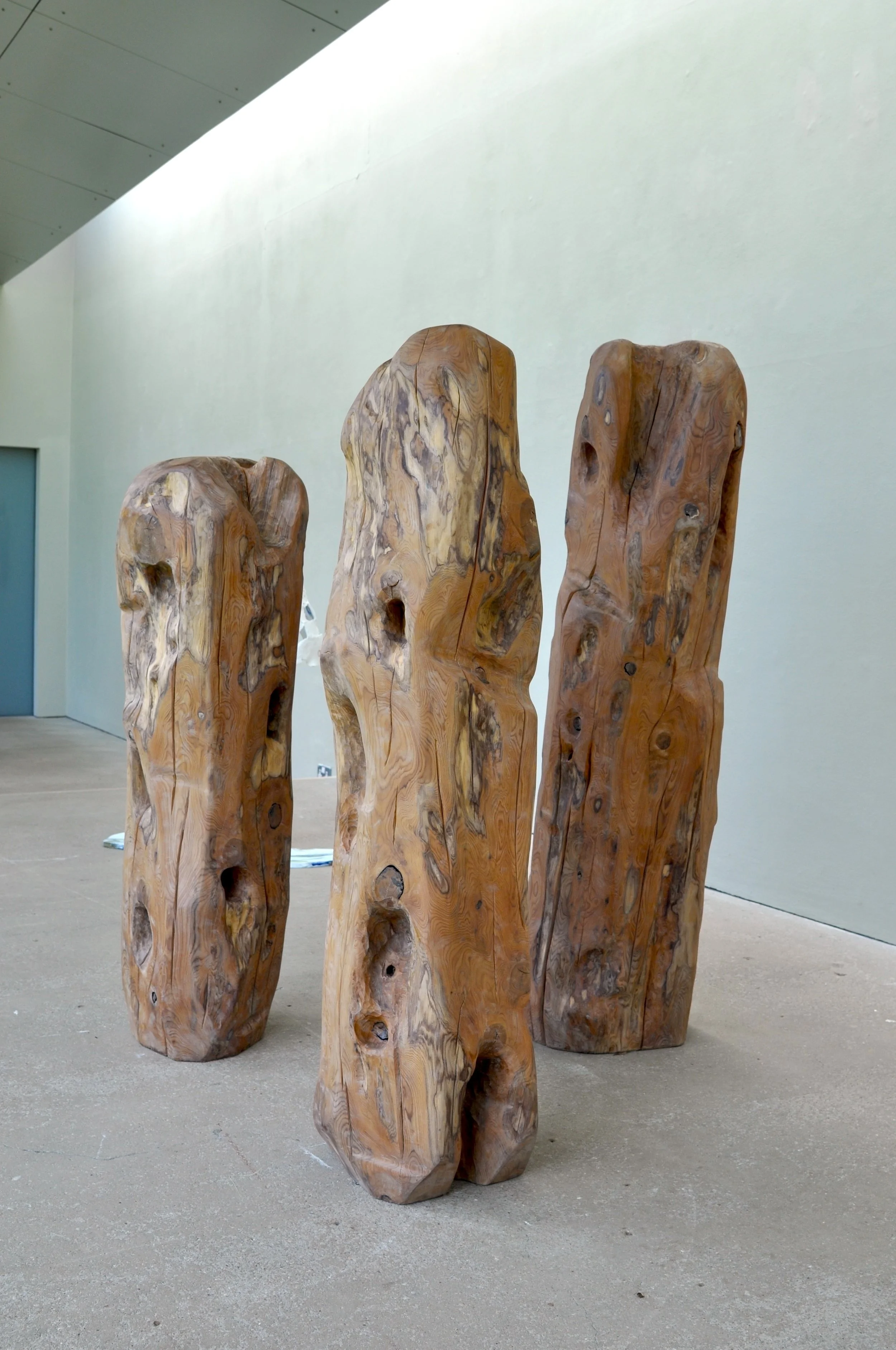 DSC_0031 copy 2.jpeg