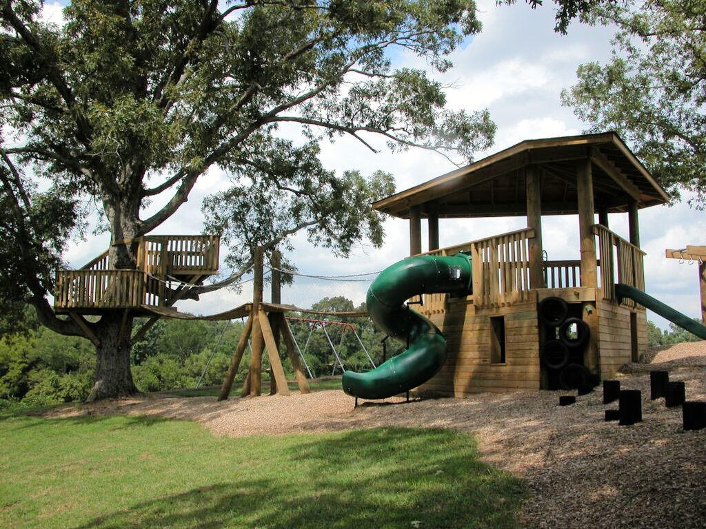 Tree house 4.jpeg