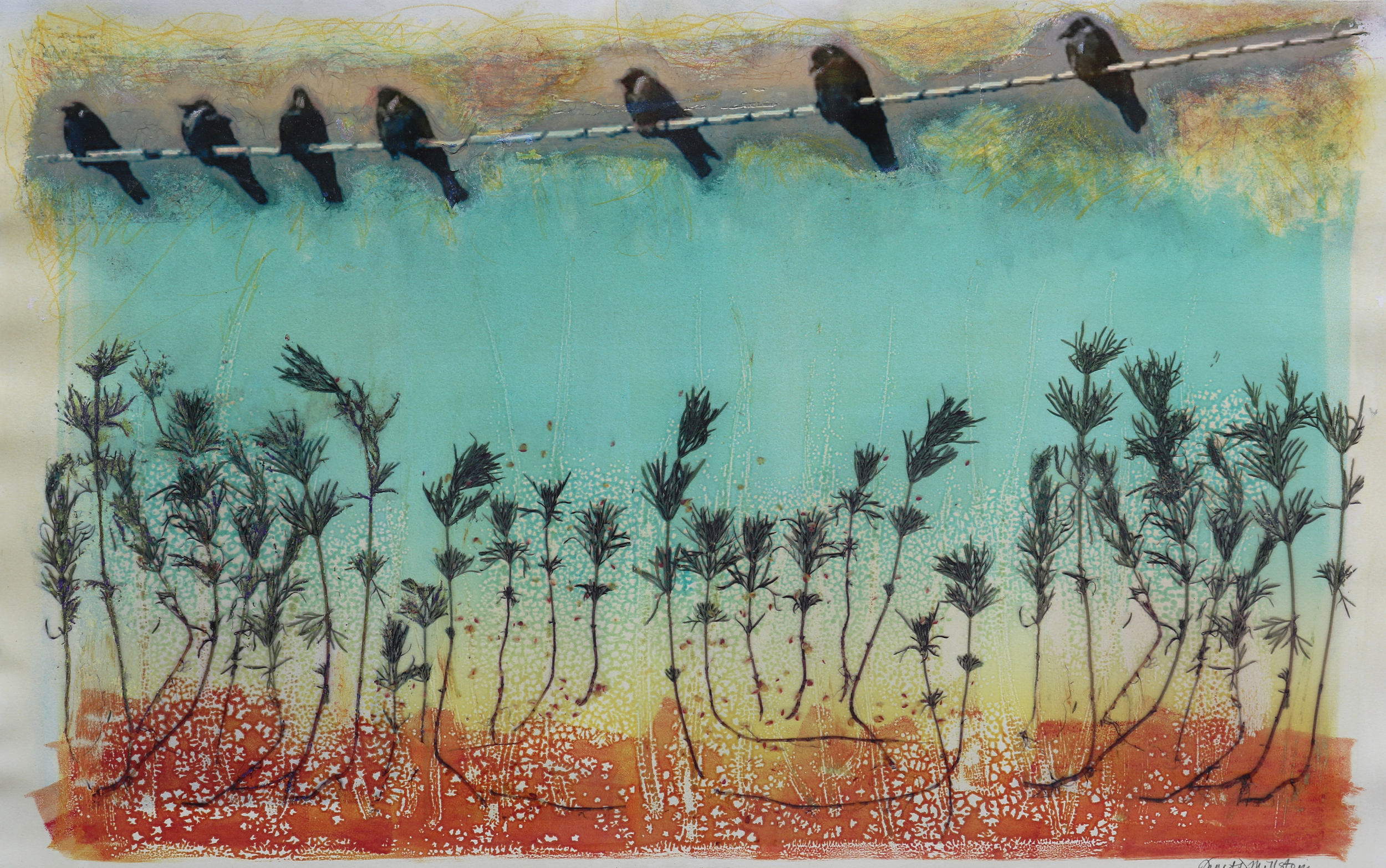 Birds On Wire