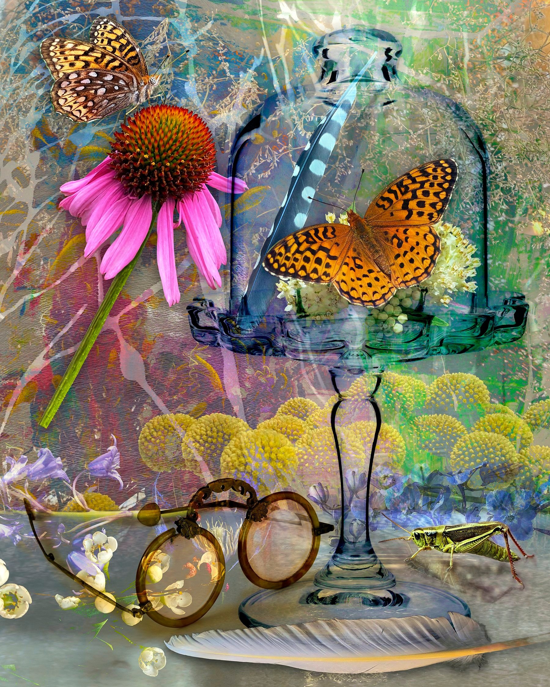 Still Life with Butterfly and Feathers